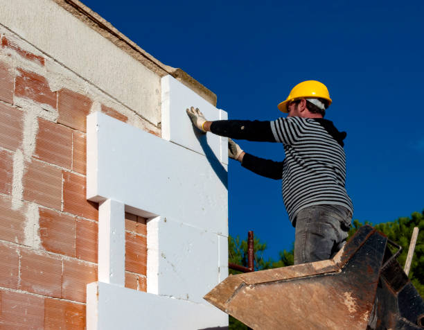 Best Insulation Contractor Near Me  in Leslie, MI