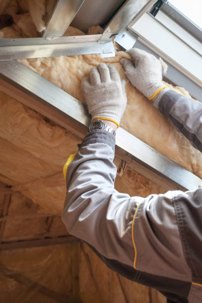 Best Energy-efficient Insulation  in Leslie, MI